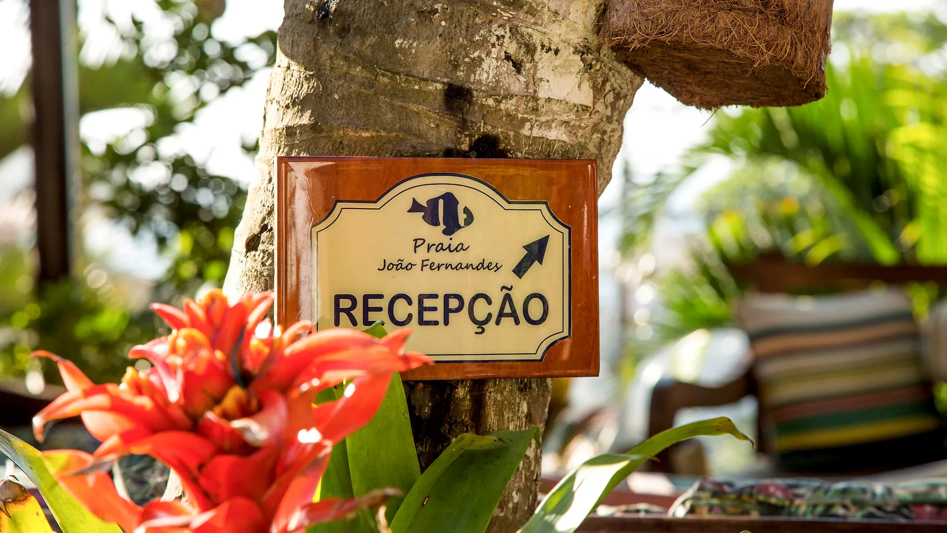 Mini-hôtel Pousada Praia Joao Fernandes Búzios